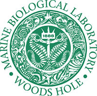 MBL logo