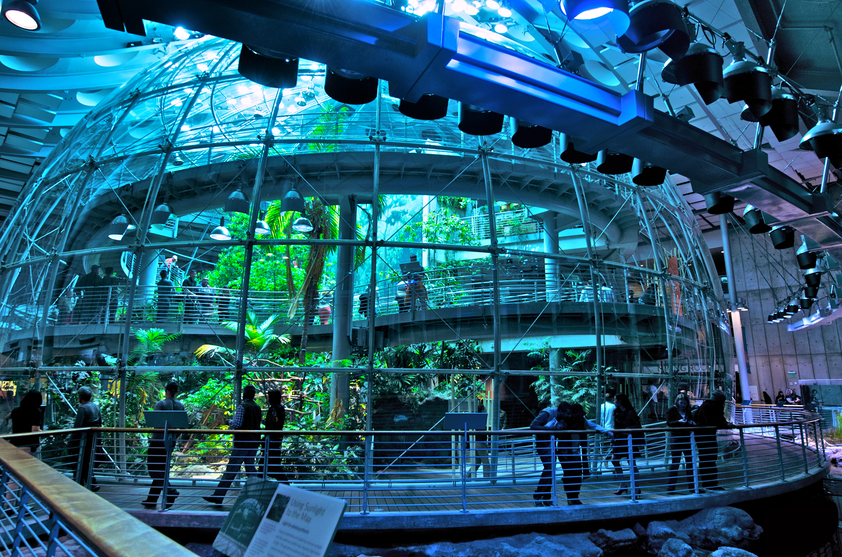 California Academy of Sciences